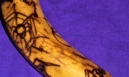 Vyřezávané banány