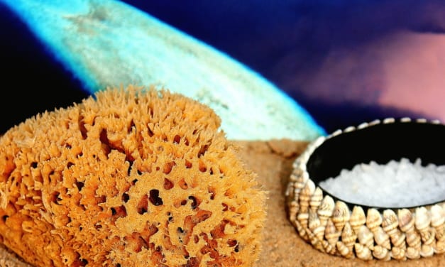 Zero waste: Minerální mořské houby na mytí