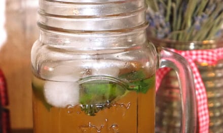 Ledový zelený čaj s ovocem soursop a moringou